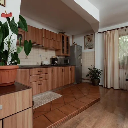 Casa Emma * Vatra Dornei